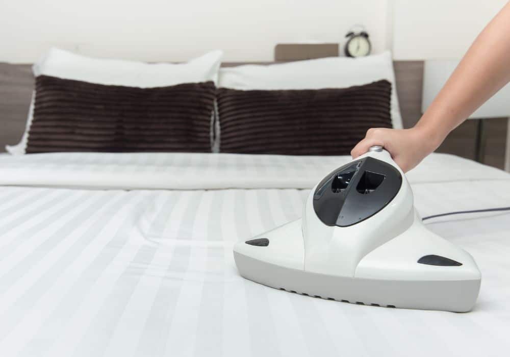Better Ways to Eliminate Pesky Dust Mites 1