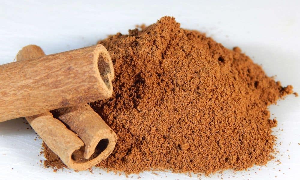 Cinnamon 1