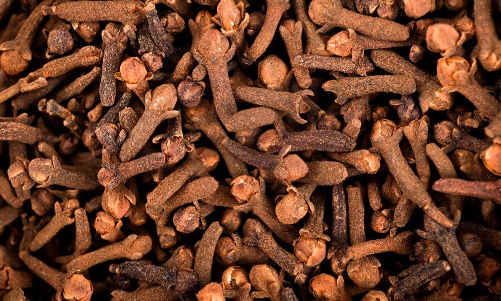 Cloves 1