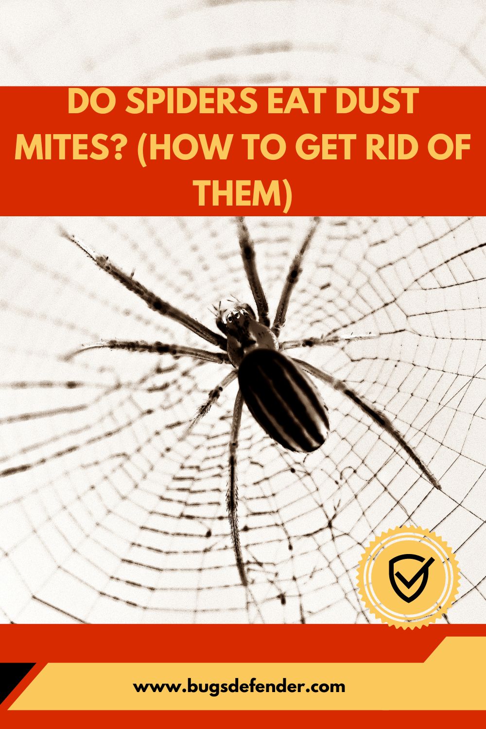 Do Spiders Eat Dust Mites? (How To Get Rid Of Them) pin 2