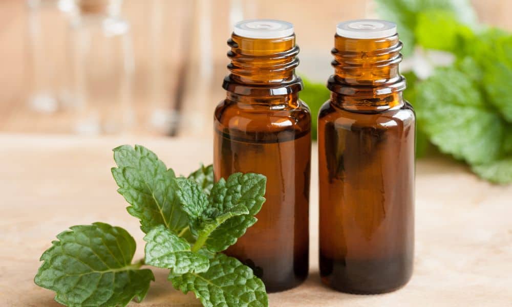 Peppermint oil 1